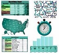 ivr software reports