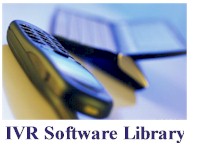 ivr software manual data types