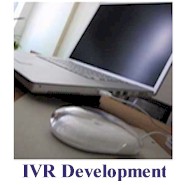 ivr software support functions