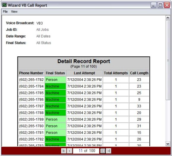Detail Record Report 